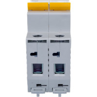 Автоматический модульный выключатель IEK ВА 47-29 2п C 50А 4.5кА ИЭК MVA20-2-050-C 9694548