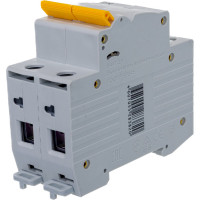 Автоматический модульный выключатель IEK ВА 47-29 2п C 63А 4.5кА ИЭК MVA20-2-063-C