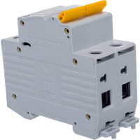 Автоматический модульный выключатель IEK ВА 47-29 2п C 63А 4.5кА ИЭК MVA20-2-063-C