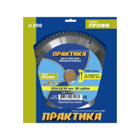 Диск пильный по ламинату (250х32/30 мм; Z80) ПРАКТИКА 032-270