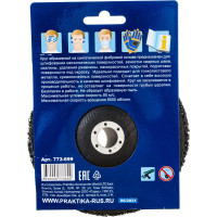 Круг абразивный синтетический торцевой (180x22.2 мм) ПРАКТИКА 773-699