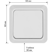 Одноклавишный выключатель TDM ELECTRIC открытой установки 10А белый Ладога SQ1801-0001