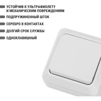 Одноклавишный выключатель TDM ELECTRIC открытой установки 10А белый Ладога SQ1801-0001