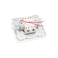 Двухклавишный выключатель TDM с подсветкой, белый Валдай SQ1804-0006