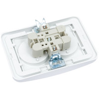 Двойная розетка, белая 2П 10А TDM ELECTRIC Валдай SQ1804-0009