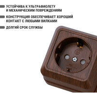 Розетка TDM ELECTRIC 2П+З открытой установки с защитными шторками IP20 16А, бук, серия "Ладога" SQ1801-0038