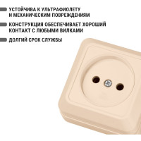 Розетка открытой установки 2П IP20 10А, слоновая кость TDM ELECTRIC Ладога SQ1801-0014