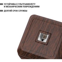 Розетка TDM ELECTRIC TФ (RJ-11) открытой установки IP20, бук, серия "Ладога" SQ1801-0041