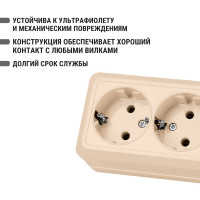 Двойная розетка открытой установки 2П+3 IP20 16А, слоновая кость TDM ELECTRIC Ладога SQ1801-0020