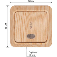 Переключатель на 2 направления TDM ELECTRIC 1-кл. открытой установки с подсветкой IP20 10А, сосна, серия "Ладога" SQ1801-0048