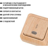 Переключатель на 2 направления TDM ELECTRIC 1-кл. открытой установки с подсветкой IP20 10А, сосна, серия "Ладога" SQ1801-0048