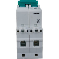 Автоматический выключатель DEKraft ВА101-2P-010A-C 11065DEK 121909