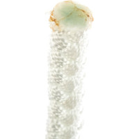 Полиамидный 8-прядный фал АзотХимФортис 10 мм (10 м) 70401