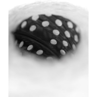 Картридж PYP/S 10 (10SL) Гейзер 28304