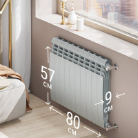 Радиатор Royal Thermo BiLiner 500/Silver Satin - 10 секц. НС-1176315