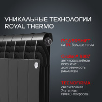 Радиатор Royal Thermo BiLiner 500/NoirSable - 10 секц. НС-1176307