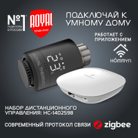 Радиатор Royal Thermo BiLiner 500/NoirSable - 10 секц. НС-1176307