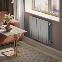 Радиатор Royal Thermo PianoForte 500/Silver Satin - 10 секц. НС-1176335