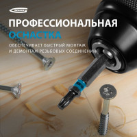 Набор бит TORX (Т30; 50 мм) 10 шт. GROSS 11472