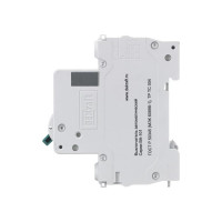 Автоматический выключатель DEKraft (АВ) ВА-101, 1 Р, хар-ка C, 40 А, 4.5 кА 11058DEK