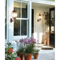 Садово-парковый светильник, восьмигранный на стену вверх 100W E27 230V, черное золото Feron 8101 11244