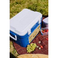 Изотермический контейнер-термобокс Арктика 30 л, синий 2000-30-BL