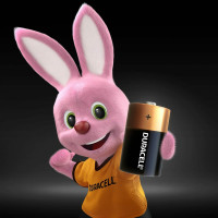 Щелочные батарейки Duracell, C/LR14 2шт Б0014054