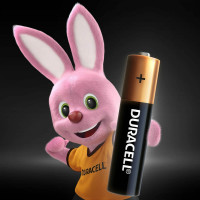 Батарейки Duracell, щелочные размера AAA, 18шт Б0014449
