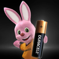Щелочные батарейки Duracell, АА/LR6 8шт C0037387