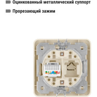 Розетка компьютерная RJ-45 слоновая кость серия "Валдай" TDM ELECTRIC SQ1804-0113