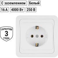 Розетка, белая 2П+З 16А TDM ELECTRIC Валдай SQ1804-0008