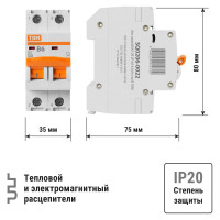 Автоматический выключатель ВА47-29 (2Р; 6 А; 4.5 кА; В) TDM ELECTRIC SQ0206-0022