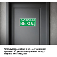 Знак "ЗАПАСНЫЙ ВЫХОД" TDM ELECTRIC 200х100мм, в упаковке 10 штук SQ0817-0057