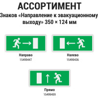 Знак "Направление к эвакуационному выходу прямо" TDM ELECTRIC 350х124мм для ССА, в упаковке 10 штук SQ0817-0067