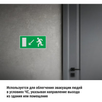 Знак "Направление к эвакуационному выходу налево вниз" TDM ELECTRIC 200х100мм, в упаковке 10 штук SQ0817-0052