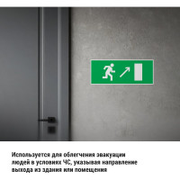 Знак "Направление к эвакуационному выходу направо вверх" TDM ELECTRIC 350х124мм для ССА, в упаковке 10 штук SQ0817-0063