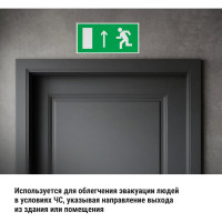Знак "Направление к эвакуационному выходу прямо" TDM ELECTRIC 200х100мм, в упаковке 10 штук SQ0817-0051