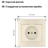 Розетка, слоновая кость 2П 10А 250В TDM ELECTRIC Таймыр SQ1814-0111