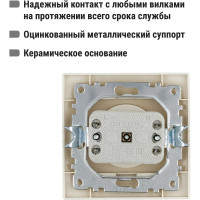 Розетка, слоновая кость 2П 10А 250В TDM ELECTRIC Таймыр SQ1814-0111