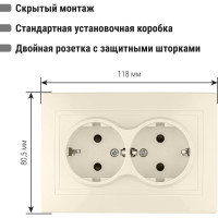 Двойная розетка с защитными шторками, слоновая кость 2П+З 16А 250В TDM ELECTRIC Таймыр SQ1814-0118