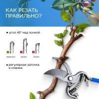 Стальной цельнокованый секатор FRUT 402300