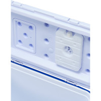 Изотермический контейнер термобокс Арктика 40л, 2000-40-BL синий