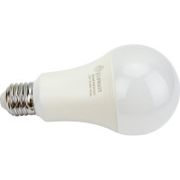 Светодиодная лампа ECOWATT A60 230В 15W 3000K E27 теплый белый свет груша 4606400206118
