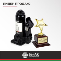 Домкрат 4 тонны в кейсе БелАК БАК.10041