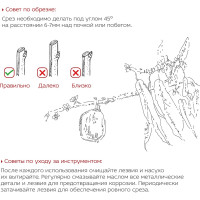 Секатор с наковаленкой и пластиковыми ручками FRUT CLUB 402310