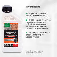 Удалитель ржавчины RUST REMOVER (концентрат 1:2) 1 л PROSEPT 023-1