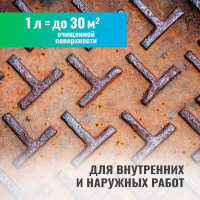 Удалитель ржавчины RUST REMOVER (концентрат 1:2) 1 л PROSEPT 023-1