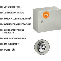 Щит с монтажной панелью ЩМП-2.3.1-0 IP66 250х300х150 TDM ELECTRIC SQ0905-0076