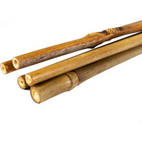 Бамбуковая поддержка GREEN APPLE GBS-10-120 120 см, 10 мм, 5 шт Б0008337