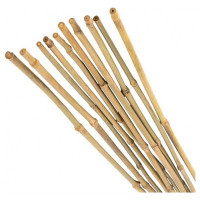 Бамбуковая поддержка GREEN APPLE GBS-10-180 180 см, 10 мм, 5 шт Б0008339